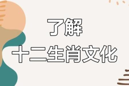 十二生肖，揭秘生肖背后的神秘力量