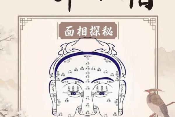 揭秘面相学的奥秘：可信吗？揭秘面相大师的秘诀