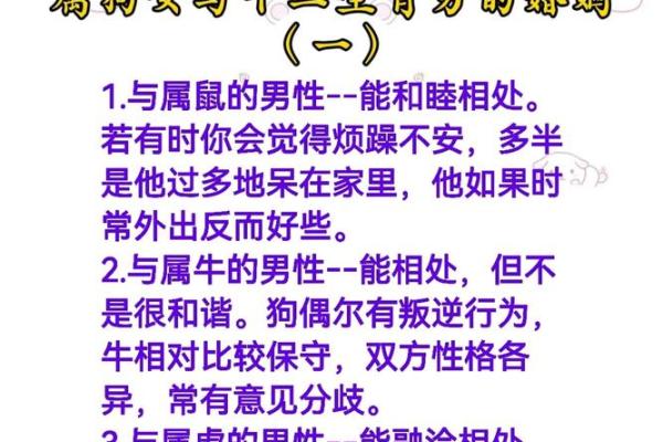 蛇蝎心肠遇犬男情深，婚姻配对大揭秘