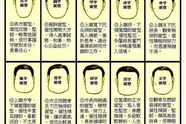 阴命木相人：揭秘你的命运密码