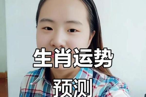 东倒西歪，生肖运势大揭秘