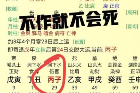 伤官合命，财运亨通的秘密