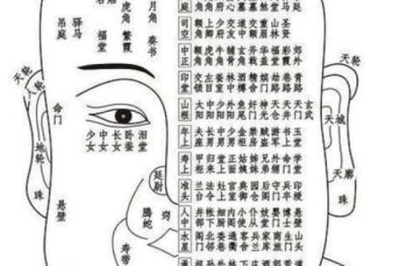 痣中藏玄机，麻衣神相教你识人术