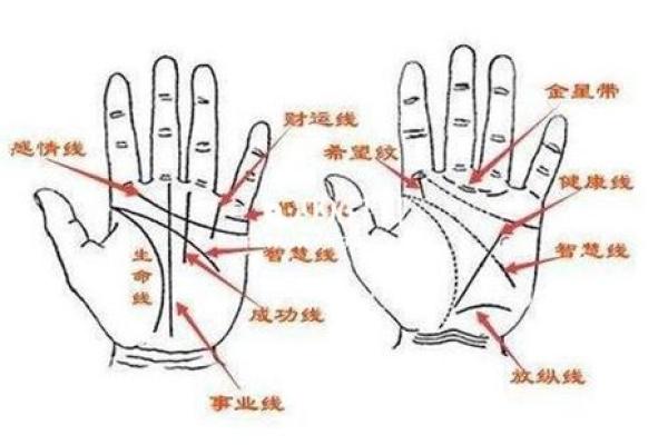 揭秘反簸箕手相的神秘寓意必看爆款解析