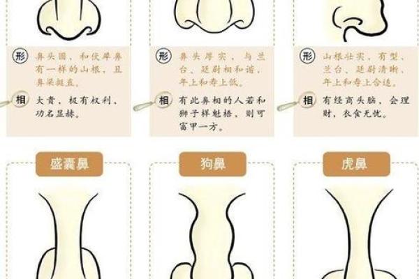 脑后肉痣相法，教你如何看财运