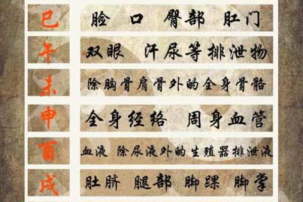 天干时令与健康：季节变化如何影响你的身体？