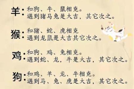 龙羊姻缘揭秘：匹配度大揭秘