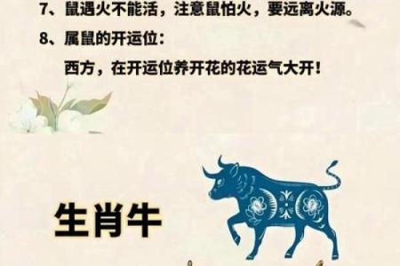牛气冲天属牛人相遇，缘分深浅一测便知
