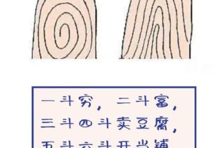 揭秘反簸箕手相的神秘寓意必看爆款解析