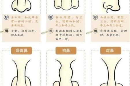 脑后肉痣相法，教你如何看财运