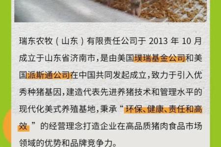 打造独特品牌的农牧业公司命名技巧