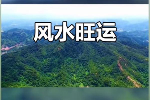 揭秘清远风水宝地：藏匿千年的神秘力量，让您财运亨通、福泽满门