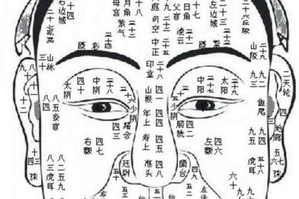 面相揭秘：虚岁流年运势大公开