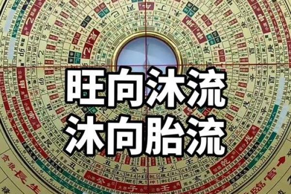 揭秘风水罗盘第二十位大师的绝密秘籍：家居布局风生水起指南