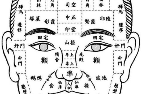 面相揭秘：一眼看穿命运，掌握人生财富密码