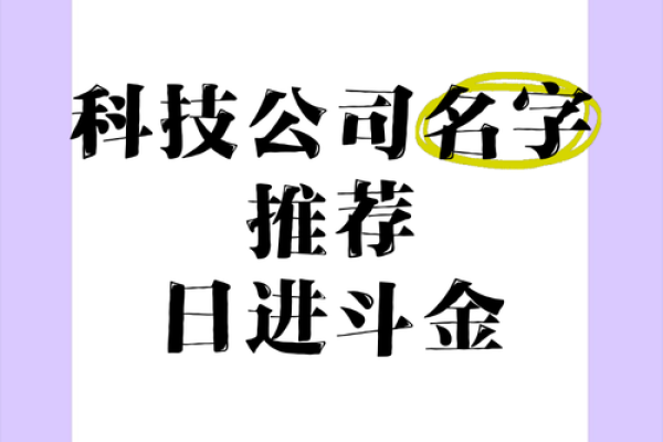 起个金字公司名字，让竞争者望尘莫及