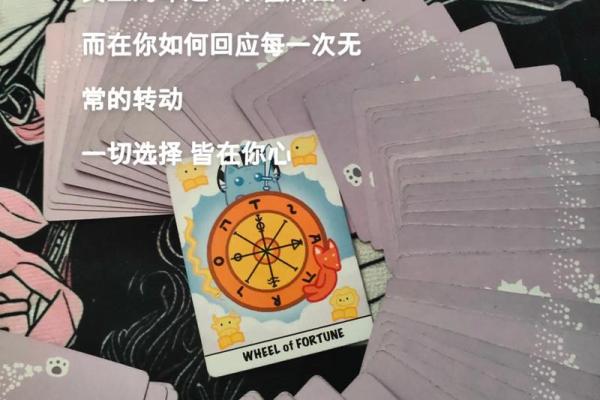 命运之轮，你能转动吗？
