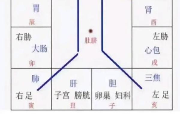 八字十二宫影响人生的五大关键要素