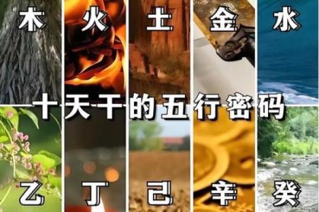 揭秘八字基础知识，轻松掌握命运密码