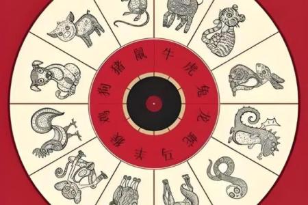 一猜惊人揭秘你的生肖命运，吃猜一生肖大揭秘