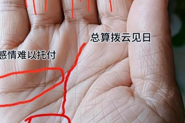 童子命揭秘：手相奥秘，掌握命运密码