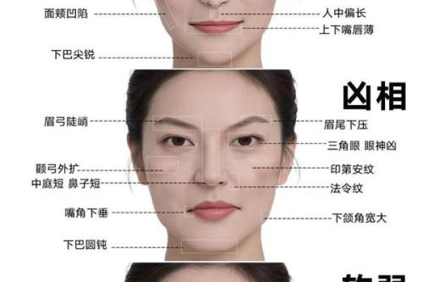 面相揭秘：骨相解析，瞬间洞察命运之谜