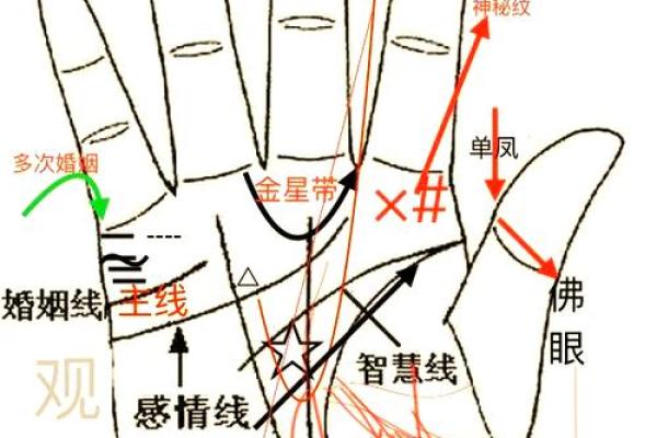 手相手心存水：揭秘命运密码的神奇手相奥秘