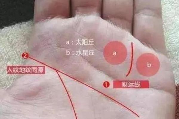 揭秘：40岁必看财运亨通的手相秘密，让你一跃成为人生赢家