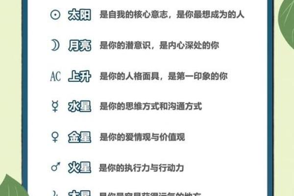 天星奇门排盘技巧揭秘，助你轻松抓住命运的关键机会