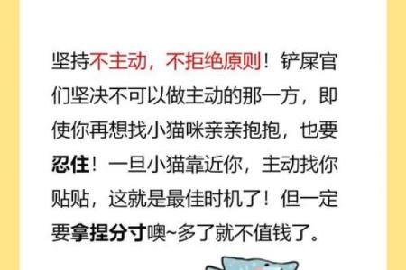 让顾客爱上你的饭店名字，学会这些命名方法
