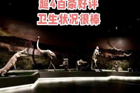揭秘：东西背后的奥秘，为何成为爆款？