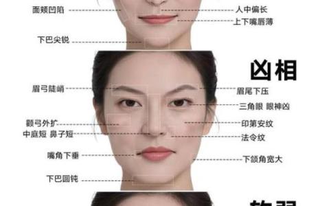 面相揭秘：骨相解析，瞬间洞察命运之谜