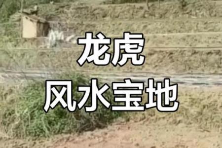 正南风水宝地，住进旺宅财运亨通