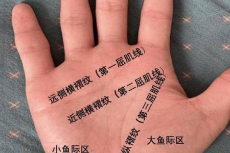 手相揭秘：假性右断掌男性运势大解析