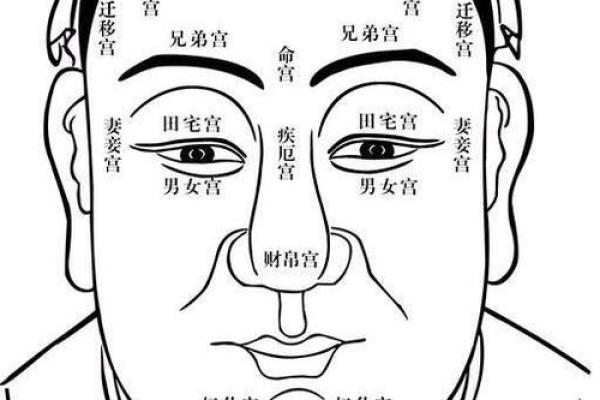 龙嘴面相揭秘：财运亨通，福星高照的神秘面相特征