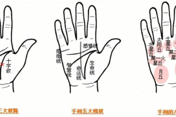 一招识破呼吸道感染，手相秘术教你轻松辨症状
