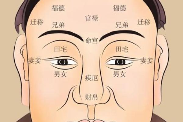 识人识心，一眼定乾坤——刘伯温面相绝学大揭秘