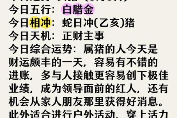 己亥年五行属什么？命运走势全解析