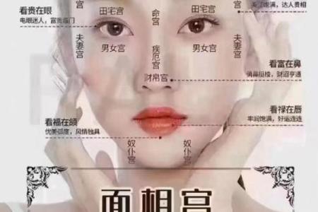 揭秘面相奥秘：象眼背后的命运密码，一眼看穿人生轨迹