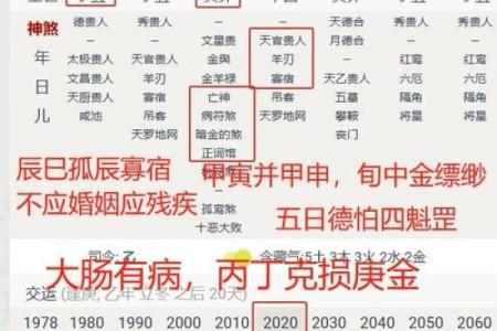 乙酉时柱的五行分析与命运解读