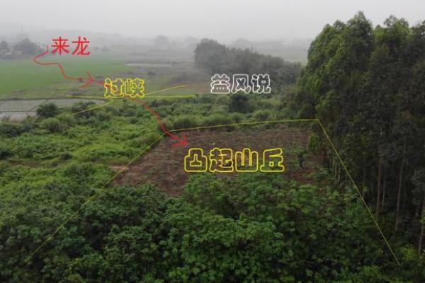 风水过峡揭秘：一图读懂家居布局的奥秘