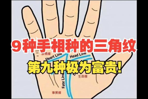 揭秘手相中的大三角纹，掌握运势秘密的神奇秘籍