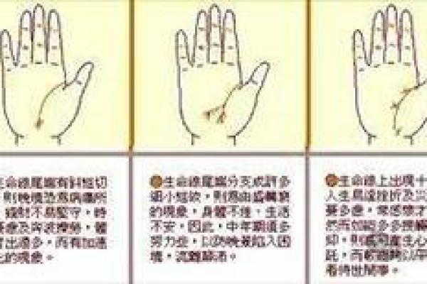 元亨利八字排盘详解，助你成为命运的主宰