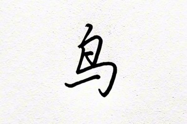 你知道给鸟起名字有哪些有趣的方式吗？这里有灵感