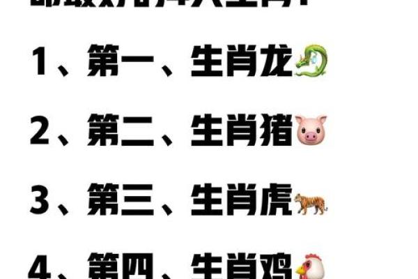 九龙生肖：揭秘十二生肖背后的神秘力量