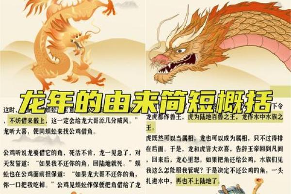 九龙生肖：揭秘十二生肖背后的神秘力量