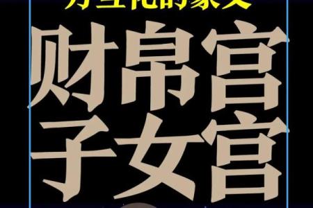 深入华易紫薇排盘，助你探索人生真相与财富密码