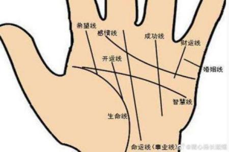 揭秘手相奥秘：如何一眼看穿丈夫学历，精准预测另一半才华