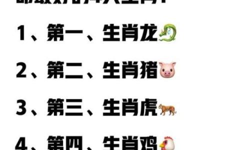 九龙生肖：揭秘十二生肖背后的神秘力量
