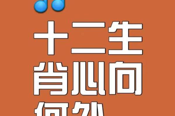 同甘共苦，携手共度生肖岁月